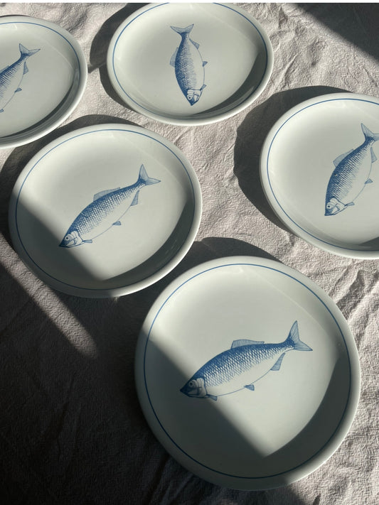 Fish plates from Knabstrup